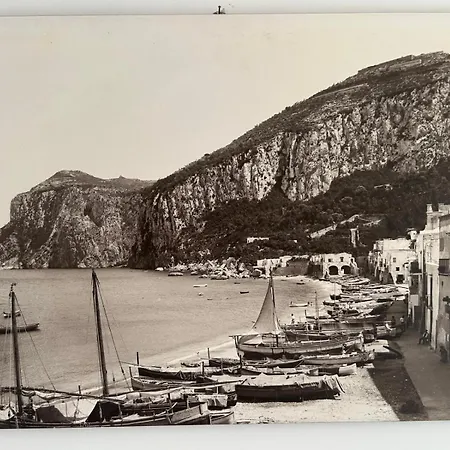 アパート Roof Belvedere